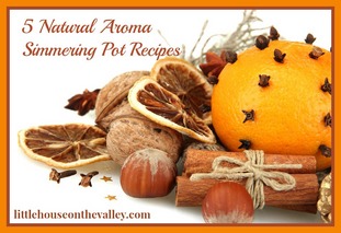 5-natural-aroma-simmering-pot-recipes1_jpg1.jpg