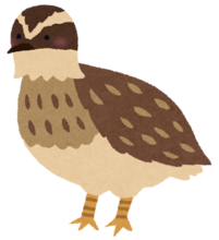 EỸCXg.png