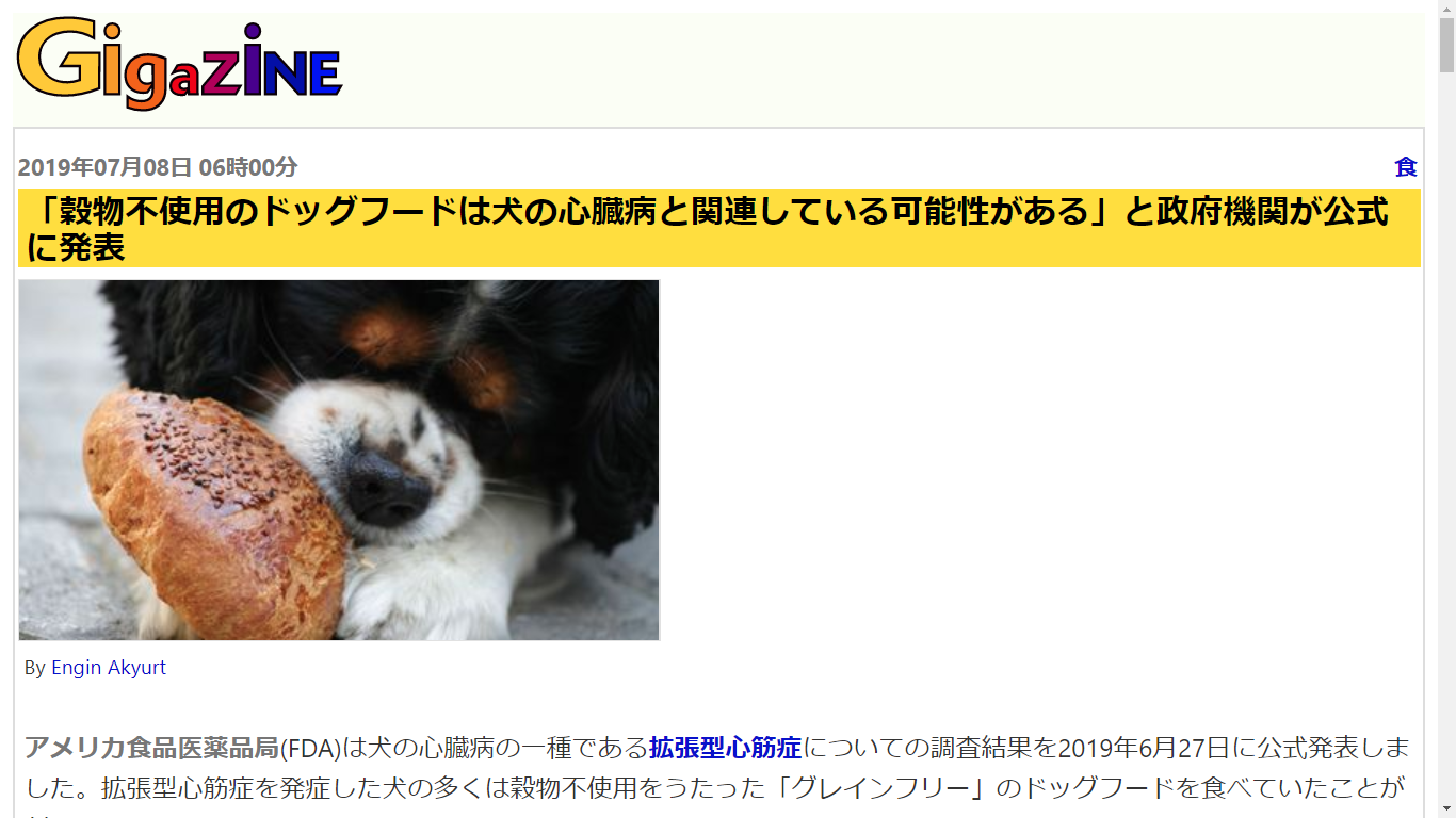 ベルテの日記 失敗しないペットフード選び 穀物不使用のドッグフードは犬の心臓病と関連している可能性がある