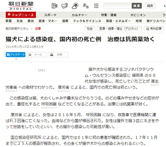 コリネバクテリウム・ウルセランス感染症.png