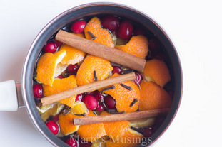 Simmering-Homemade-Potpourri-Martys-Musings-3.jpg